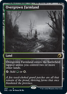 Overgrown Farmland