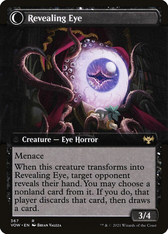 Concealing Curtains (Extended Art) (Back)
