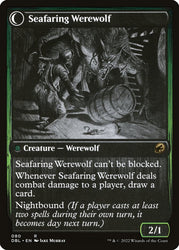 Suspicious Stowaway (Back)