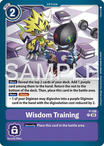 Wisdom Training (Reprint)