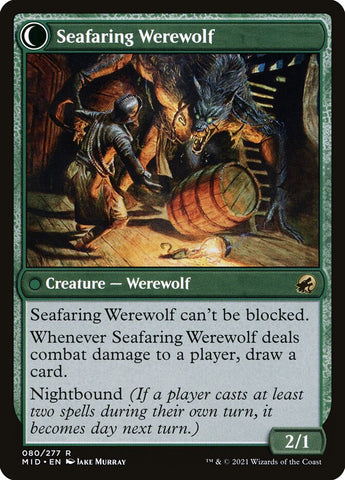 Suspicious Stowaway (Back)